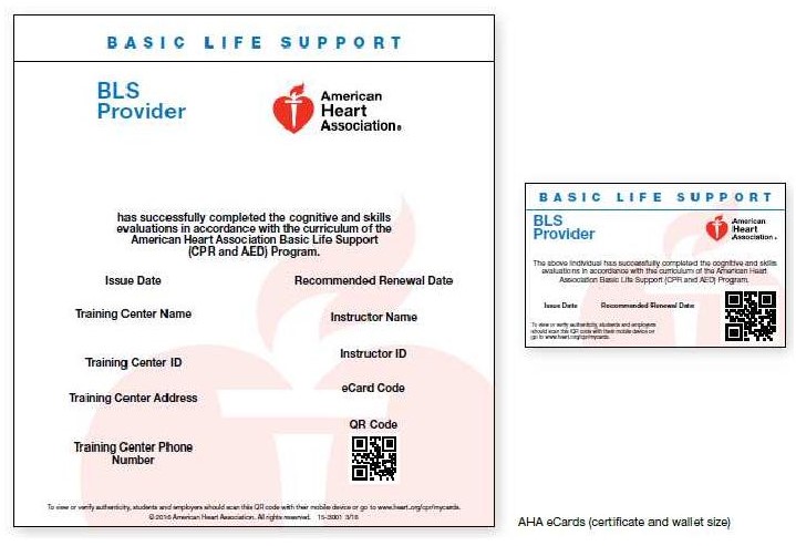 Basic Life Support (BLS) Course Completion ECard ubicaciondepersonas